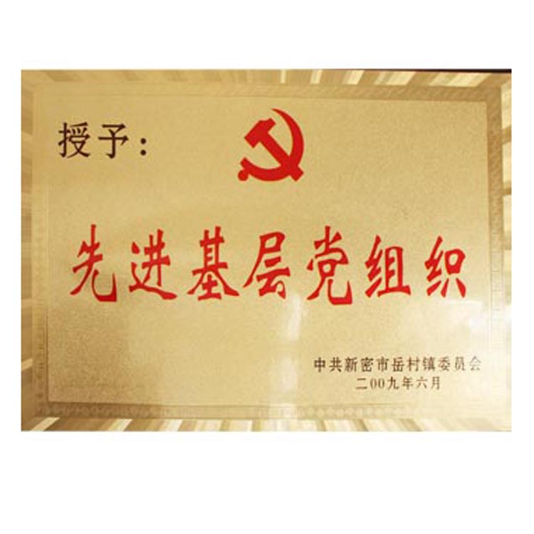 先進黨組織證